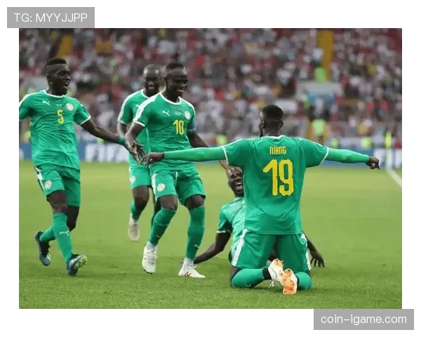 非洲杯新王登顶，冠军球队强势夺冠再创历史